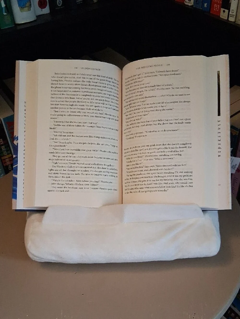 Sushi Reading Pillow